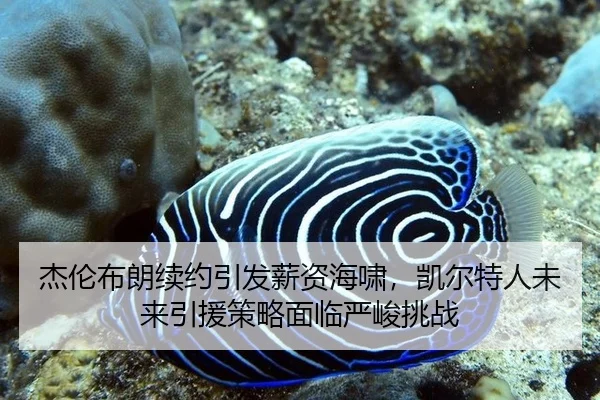 jie-lun-bu-lang-xu-yue-yin-fa-xin-zi-hai-xiao-kai-er-te-ren-wei-lai-yin-yuan-ce-lve-mian-lin-yan-jun-tiao-zhan-3-923.jpg